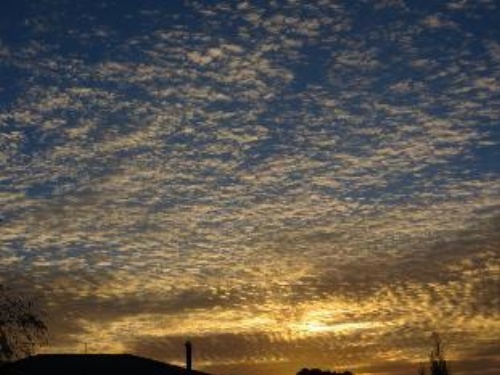 Cotswold Cottage Bed and Breakfast image 12