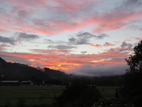 Cotswold Cottage Bed and Breakfast image 14