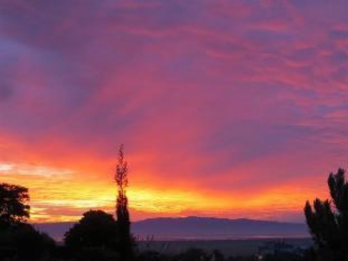 Cotswold Cottage Bed and Breakfast image 3