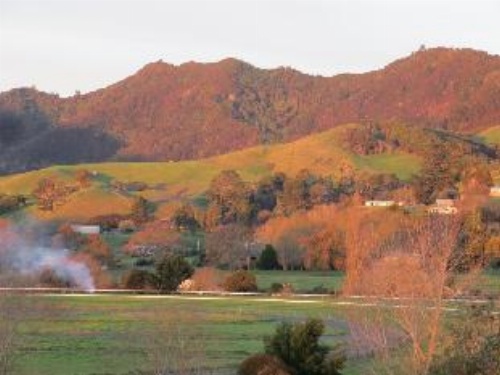 Cotswold Cottage Bed and Breakfast image 4