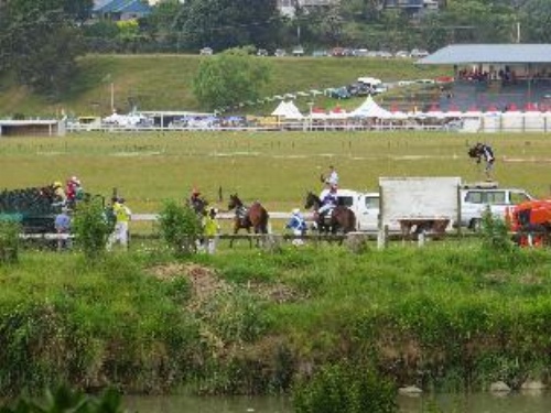 Cotswold Cottage Bed and Breakfast image 5